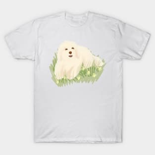 Maltipoo in the garden T-Shirt